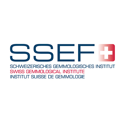 SSEF logo